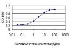 Monoclonal Anti-NRG2 antibody produced in mouse clone 3D2, purified immunoglobulin, buffered aqueous solution