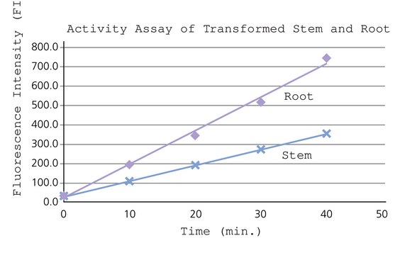 &#946;-Glucuronidase Fluorescent Activity Detection Kit