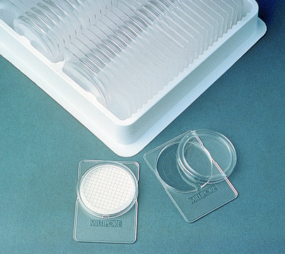 PetriSlides，Millipore&#174; size 51&#160;mm × 76&#160;mm, polystyrene