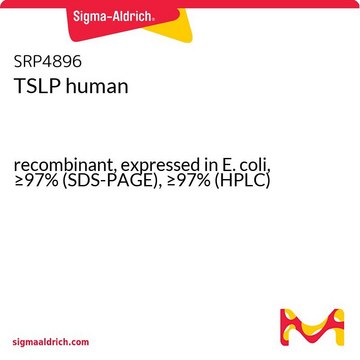 TSLP human recombinant, expressed in E. coli, &#8805;97% (SDS-PAGE), &#8805;97% (HPLC)