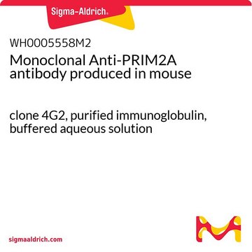 Monoclonal Anti-PRIM2A antibody produced in mouse clone 4G2, purified immunoglobulin, buffered aqueous solution