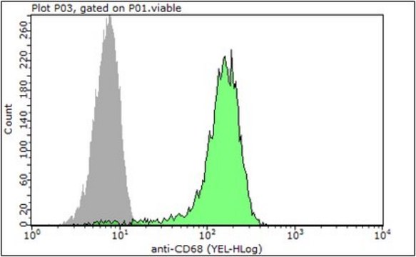 Anti-Microsialin/CD68 Antibody, clone 9 clone 9, 1&#160;mg/mL, from rat