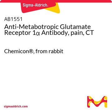 Anti-Metabotropic Glutamate Receptor 1&#945; Antibody, pain, CT Chemicon&#174;, from rabbit