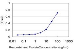 Monoclonal Anti-CORIN antibody produced in mouse clone 5B6, purified immunoglobulin, buffered aqueous solution