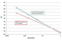Heat-labile Cod Uracil-DNA Glycosylase recombinant, expressed in E. coli, Triton-free and Glycerol-free
