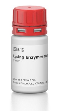 Lysing Enzymes from Aspergillus sp. powder