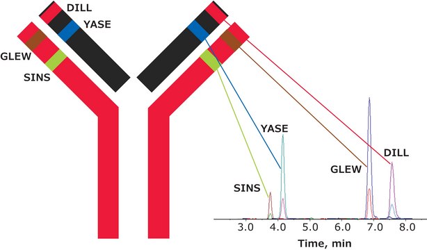 SILu&#8482;MAb英利昔单抗稳定同位素标记单克隆抗体 recombinant, expressed in CHO cells