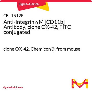 抗-整合素 &#945;M [CD11b]抗体，克隆OX-42，FITC偶联 clone OX-42, Chemicon&#174;, from mouse