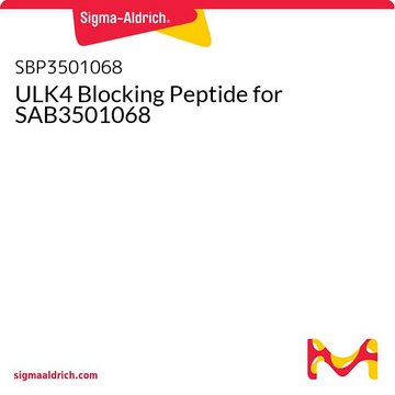 ULK4 Blocking Peptide for SAB3501068