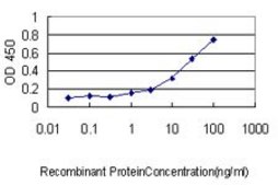 Monoclonal Anti-STAMBP antibody produced in mouse clone 1A8, purified immunoglobulin, buffered aqueous solution
