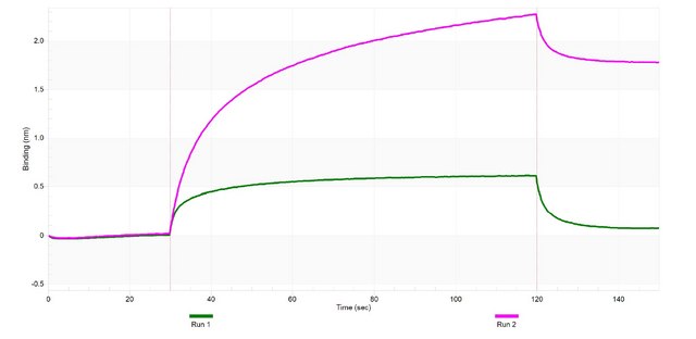 Anti-Annexin A2 Antibody, clone 1C4 ZooMAb&#174; Rabbit Monoclonal recombinant, expressed in HEK 293 cells