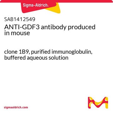 ANTI-GDF3 antibody produced in mouse clone 1B9, purified immunoglobulin, buffered aqueous solution