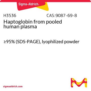 Haptoglobin from pooled human plasma &#8805;95% (SDS-PAGE), lyophilized powder