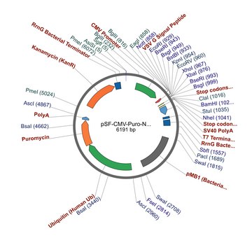 PSF-CMV-PURO-NH2-VSV G - VSV G SECRETION PLASMID plasmid vector for molecular cloning