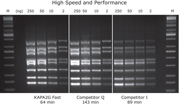 KAPA2G 快速多重混合液 suitable for PCR, 2&#160;×