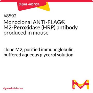 单克隆抗-FLAG&#174; M2-过氧化物酶（HRP） 小鼠抗 clone M2, purified immunoglobulin, buffered aqueous glycerol solution