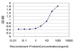 Monoclonal Anti-STMN2 antibody produced in mouse clone 1C6, purified immunoglobulin, buffered aqueous solution