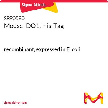 Mouse IDO1, His-Tag recombinant, expressed in E. coli