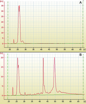 mirPremier&#174; microRNA分离试剂盒 1 sufficient for 50&#160;preparations