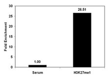 ChIPAb+ Monomethyl-Histone H3 (Lys27) - ChIP Validated Antibody and Primer Set serum, from rabbit