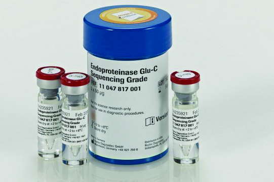 Endoproteinase Glu-C Sequencing Grade from Staphylococcus aureus V8