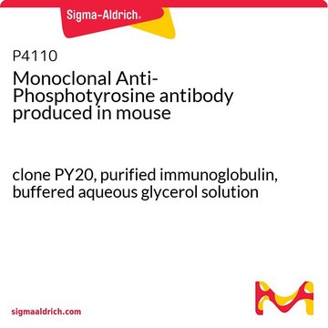 Monoclonal Anti-Phosphotyrosine antibody produced in mouse clone PY20, purified immunoglobulin, buffered aqueous glycerol solution