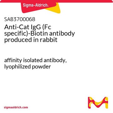 Anti-Cat IgG (Fc specific)-Biotin antibody produced in rabbit affinity isolated antibody, lyophilized powder