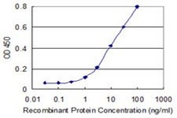 Monoclonal Anti-FBXO36 antibody produced in mouse clone 3D3, purified immunoglobulin, buffered aqueous solution