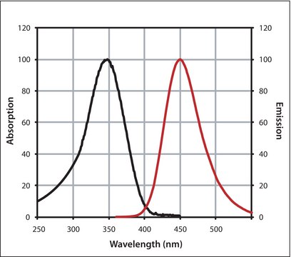 Anti-Mouse IgG (H+L), highly cross-adsorbed, CF&#8482; 350 antibody produced in donkey ~2&#160;mg/mL, affinity isolated antibody