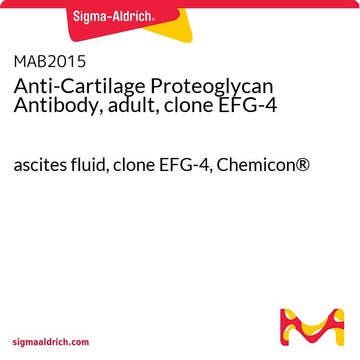 Anti-Cartilage Proteoglycan Antibody, adult, clone EFG-4 ascites fluid, clone EFG-4, Chemicon&#174;