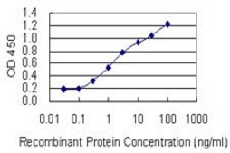 Monoclonal Anti-RAB11FIP3 antibody produced in mouse clone 6H6, purified immunoglobulin