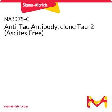 Anti-Tau Antibody, clone Tau-2 (Ascites Free)