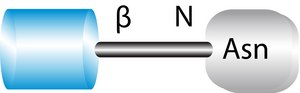 2-Acetamido-1-N-(β-L-aspartyl)-2-deoxy-β-D-glucopyranosylamine ≥98%