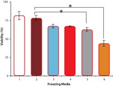 Sericin Bombyx mori (silkworm)