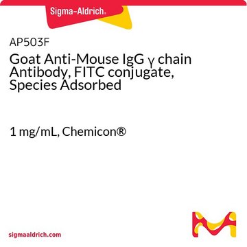 Goat Anti-Mouse IgG &#947; chain Antibody, FITC conjugate, Species Adsorbed 1&#160;mg/mL, Chemicon&#174;