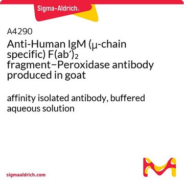 抗-人IgM（&#956;-链特异性）（F(ab&#8242;)2片段&#8722;过氧化物酶 山羊抗 affinity isolated antibody, buffered aqueous solution