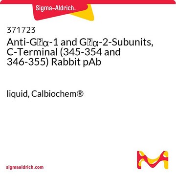 Anti-Gi&#945;-1 and Gi&#945;-2-Subunits, C-Terminal (345-354 and 346-355) Rabbit pAb liquid, Calbiochem&#174;