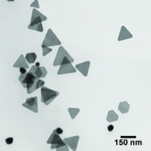 Silver nanoplates resonant wavelength, 980 nm, 0.02 mg/mL (in water with 5 mM sodium borate buffer), PVP functionalized