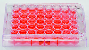 Sigma ® 细胞培养板 size 48 wells, flat bottom, sterile, tissue-culture treated, pack of 100 ea individually packed