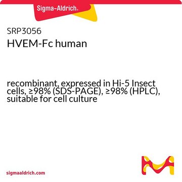 HVEM-Fc human recombinant, expressed in Hi-5 Insect cells, &#8805;98% (SDS-PAGE), &#8805;98% (HPLC), suitable for cell culture