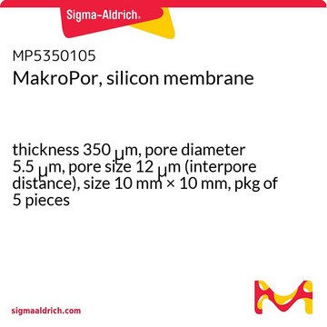 MakroPor, silicon membrane thickness 350&#160;&#956;m, pore diameter 5.5&#160;&#956;m, pore size 12&#160;&#956;m (interpore distance), size 10&#160;mm × 10&#160;mm, pkg of 5&#160;pieces