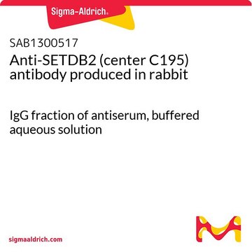 Anti-SETDB2 (center C195) antibody produced in rabbit IgG fraction of antiserum, buffered aqueous solution