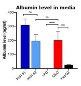 3dGRO® Human iPSC Derived Liver Organoid Progenitors Normal, Dermal Fibroblast, Age: Neonatal, Male, Mutation: None