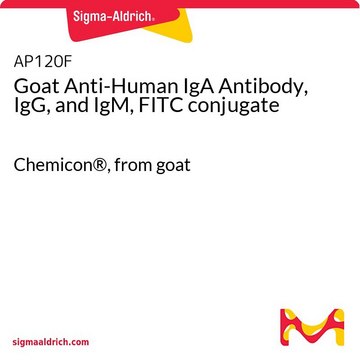 Goat Anti-Human IgA Antibody, IgG, and IgM, FITC conjugate Chemicon&#174;, from goat