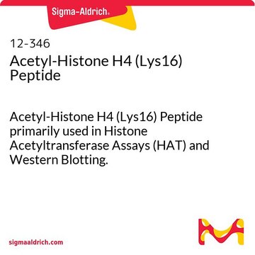 Acetyl-Histone H4 (Lys16) Peptide Acetyl-Histone H4 (Lys16) Peptide primarily used in Histone Acetyltransferase Assays (HAT) and Western Blotting.