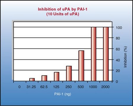 PAI Activity Assay The PAI Activity Assay Kit provides a quick, efficient &amp; sensitive system for evaluation of inhibition of uPA activity by PAI &amp; for screening of uPA inhibitors.