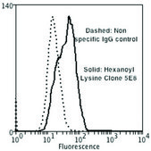 Monoclonal Anti-Hexanoyl-Lysine adduct-Biotin antibody produced in mouse clone 5E8