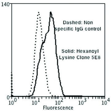 Monoclonal Anti-Hexanoyl-Lysine adduct-Biotin antibody produced in mouse clone 5E8