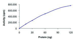 ROS1 (1883-end), active, GST tagged human PRECISIO® Kinase, recombinant, expressed in baculovirus infected Sf9 cells, ≥70% (SDS-PAGE), buffered aqueous glycerol solution