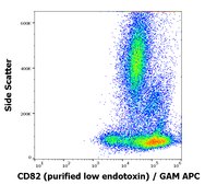 Monoclonal Anti-CD82 purified low endotoxin produced in mouse